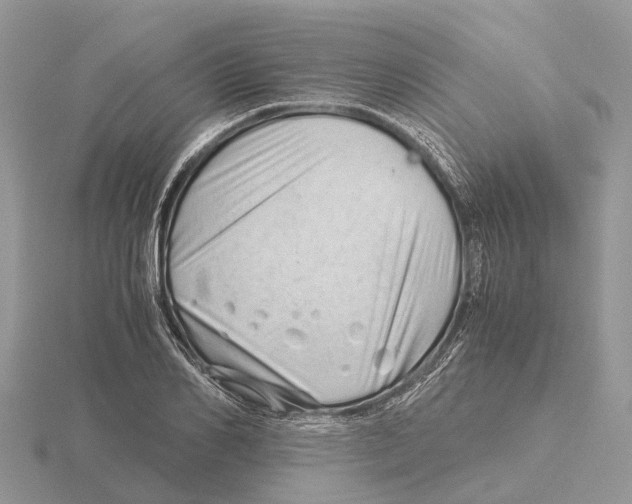 X0000115680982200912101129