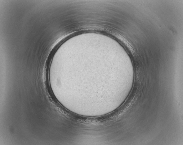 X0000115680983200912101129