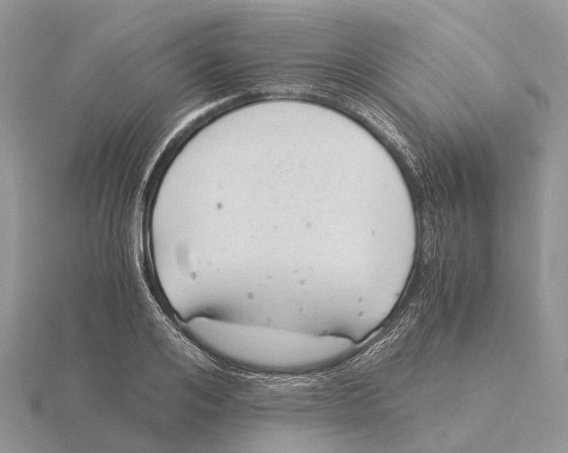 X0000115680984200912101129