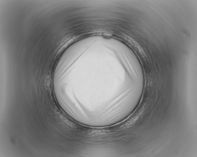 X0000115680985200912101129