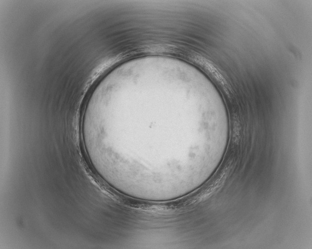 X0000115680986200912101129