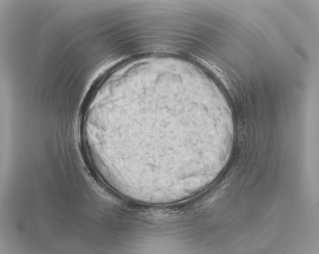 X0000115680987200912101129