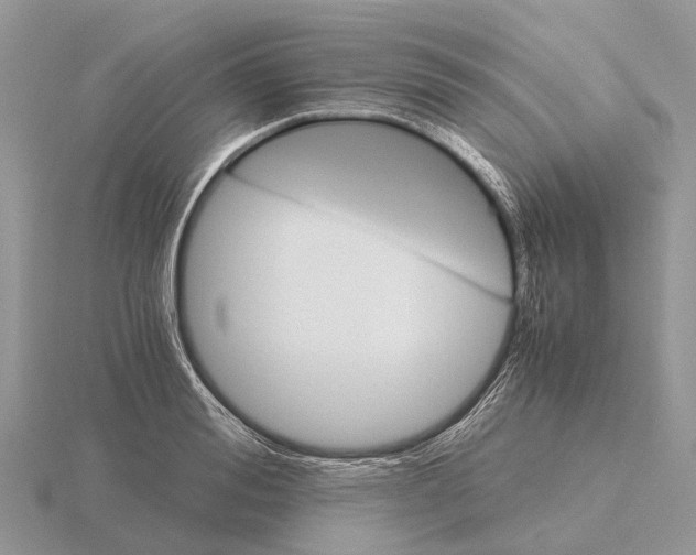 X0000115680988200912101129