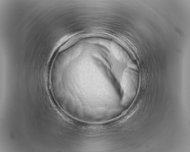 X0000115680989200912101129