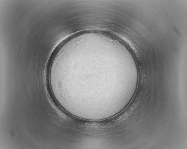 X0000115680991200912101129