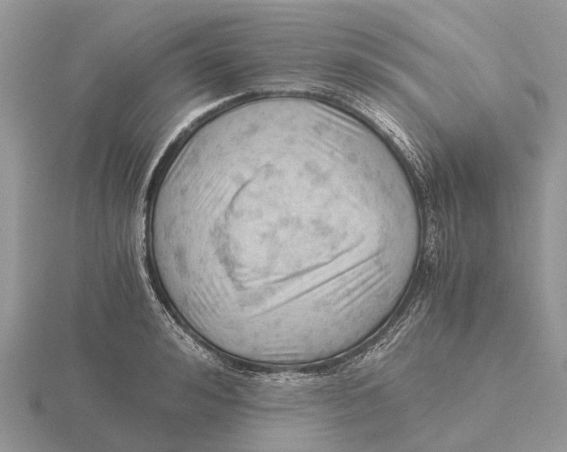 X0000115680992200912101129