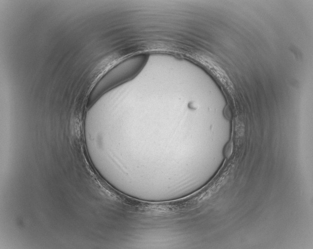 X0000115680993200912101129