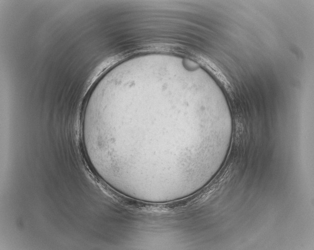 X0000115680994200912101129