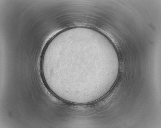 X0000115680995200912101129