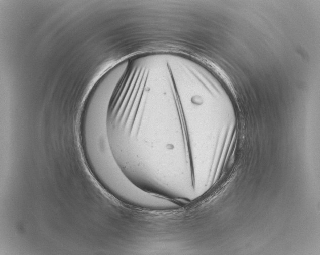 X0000115680997200912101129