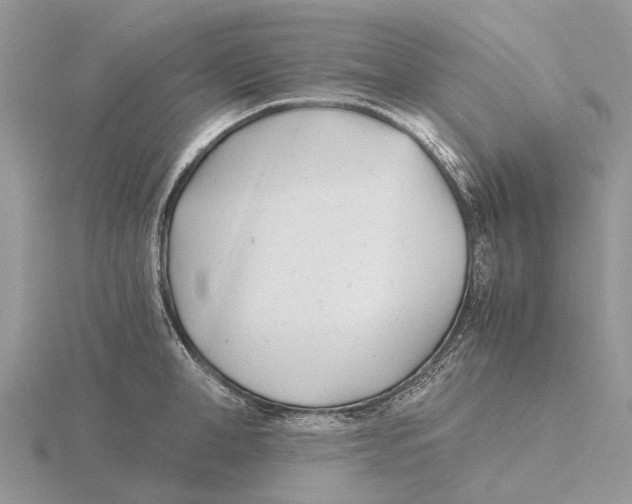 X0000115680998200912101129