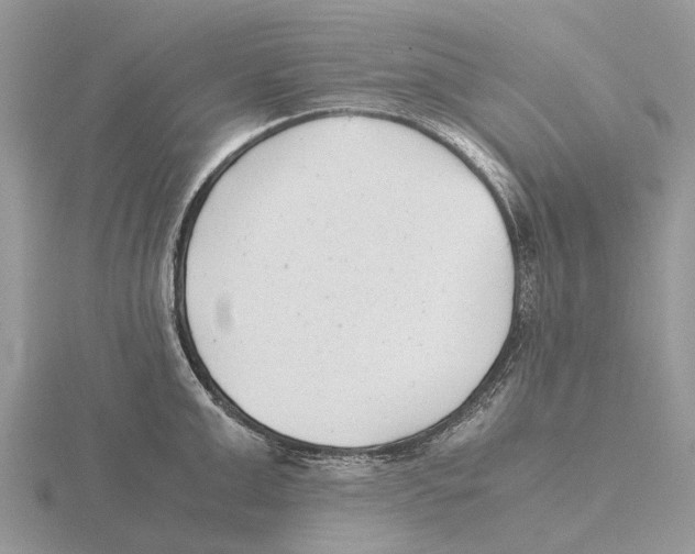 X0000115680999200912101129