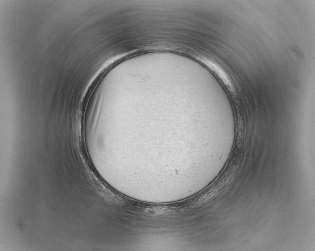 X0000115681000200912101129