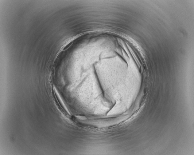 X0000115681001200912101129