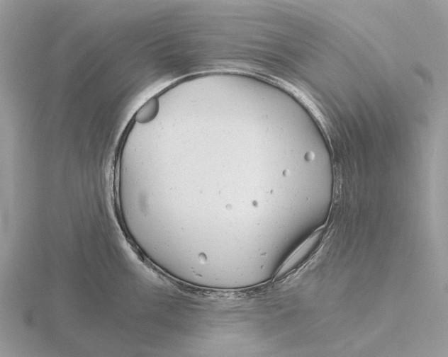 X0000115681003200912101129