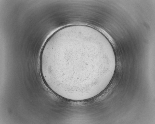 X0000115681004200912101129