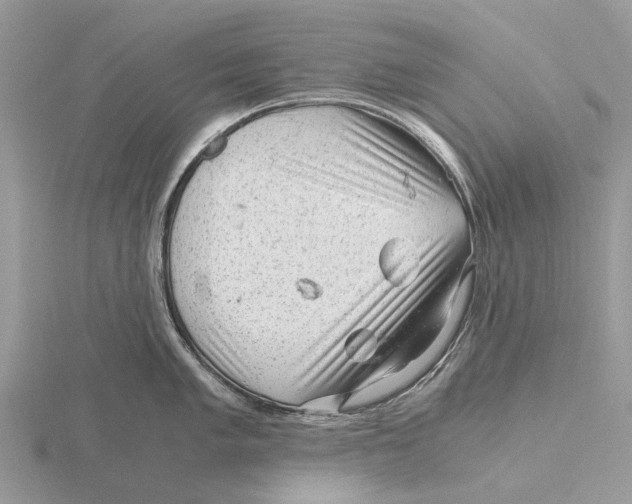 X0000115681005200912101129