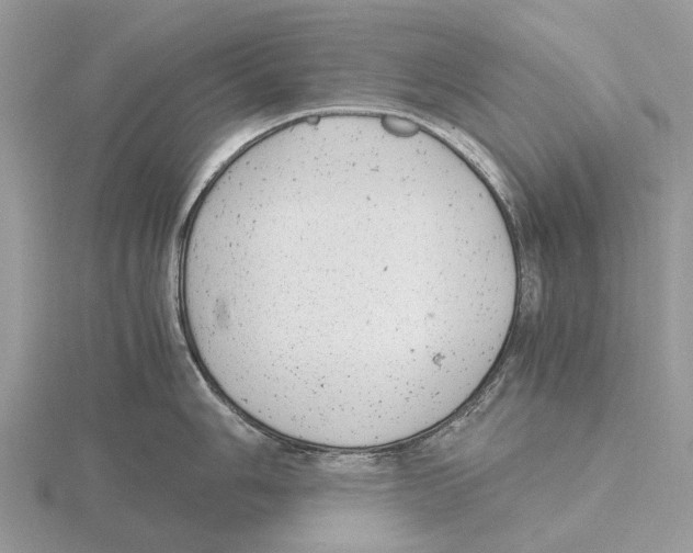 X0000115681006200912101129