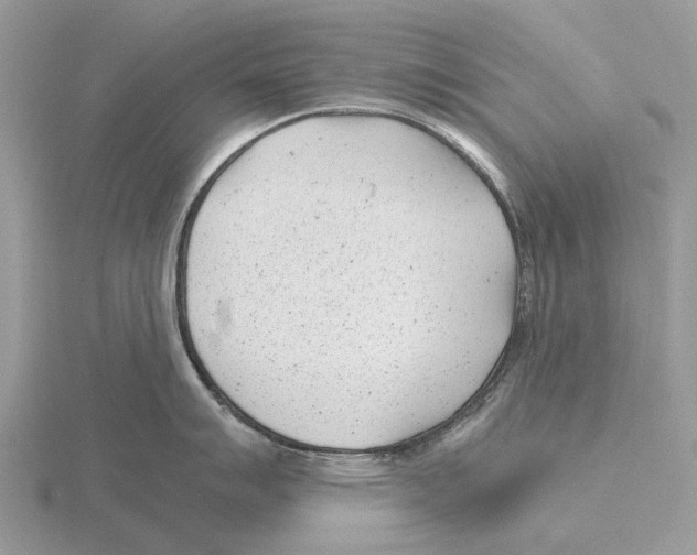 X0000115681007200912101129