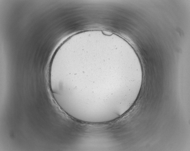 X0000115681008200912101129