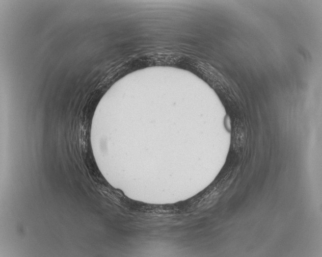 X0000115681010200912101129