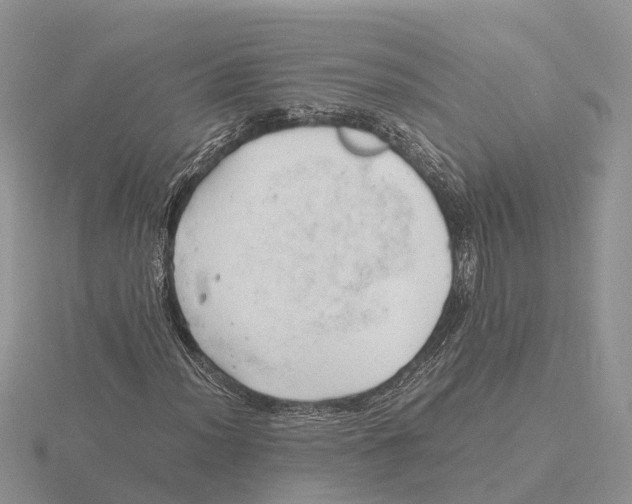 X0000115681012200912101129