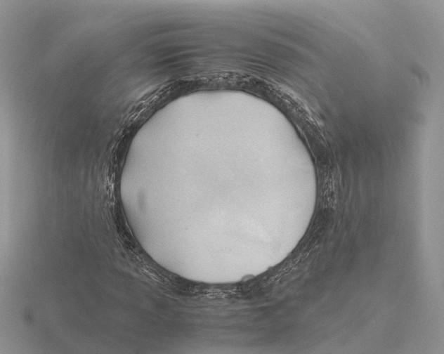 X0000115681013200912101129