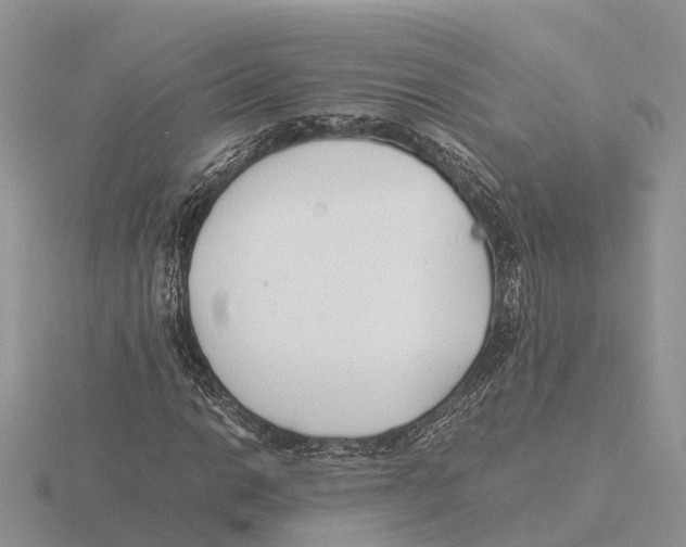 X0000115681014200912101129