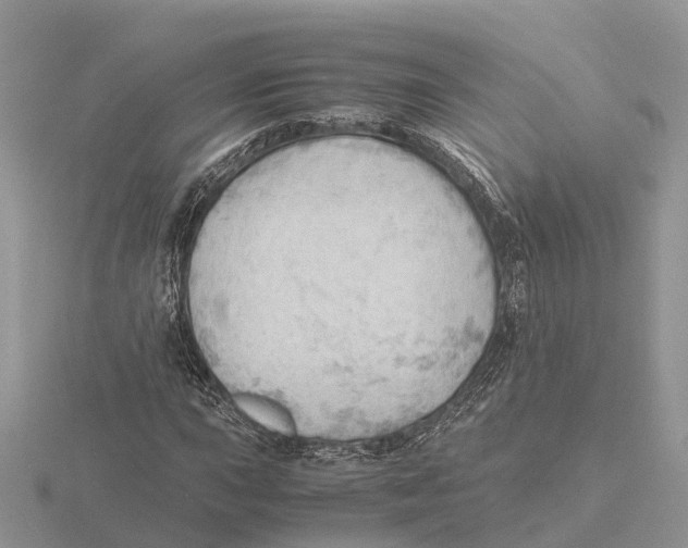 X0000115681015200912101129