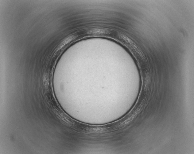 X0000115681017200912101129