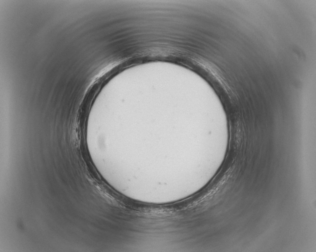 X0000115681018200912101129