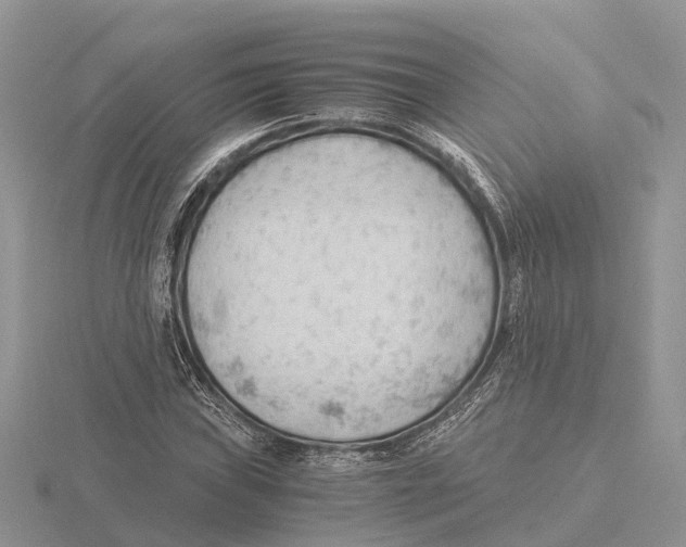 X0000115681019200912101129