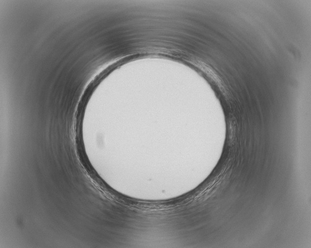 X0000115681020200912101129