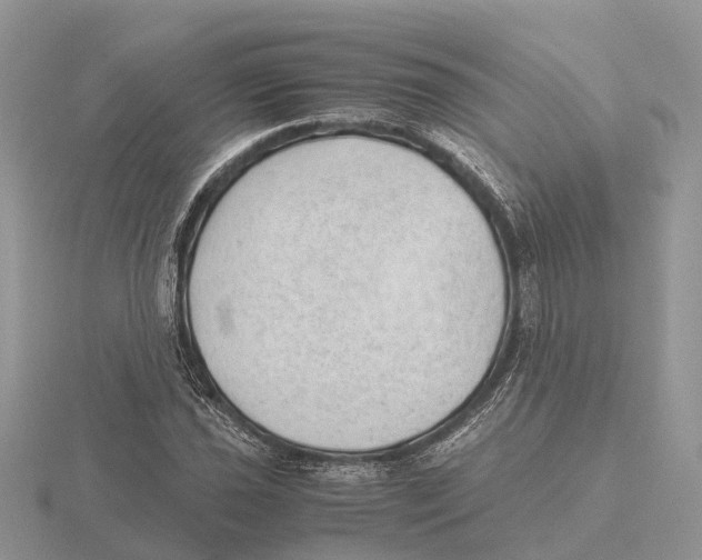 X0000115681021200912101129