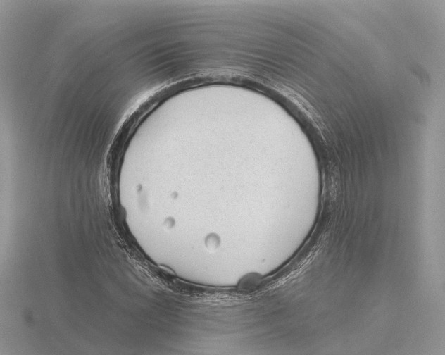 X0000115681022200912101129