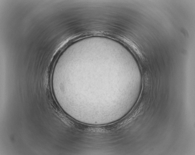 X0000115681023200912101129