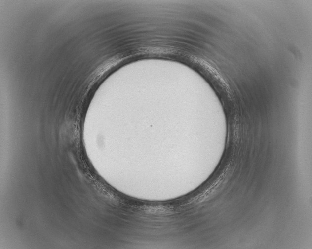 X0000115681025200912101129