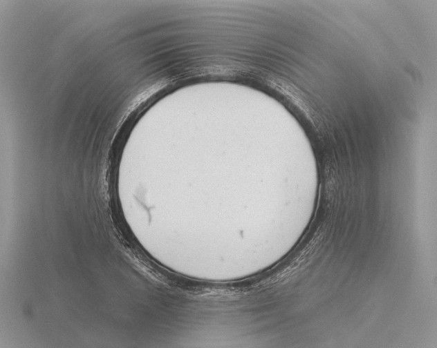 X0000115681026200912101129