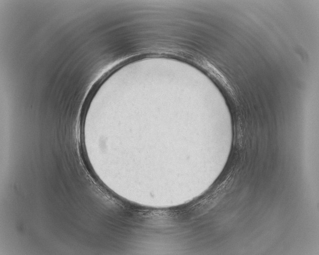 X0000115681028200912101129