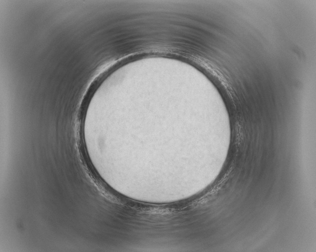 X0000115681029200912101129