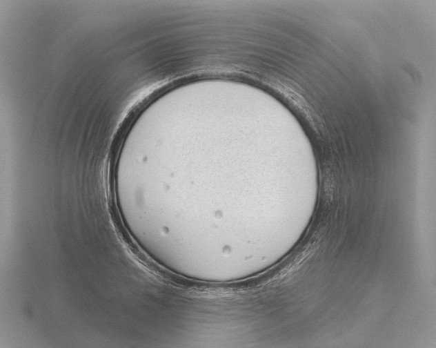 X0000115681030200912101129