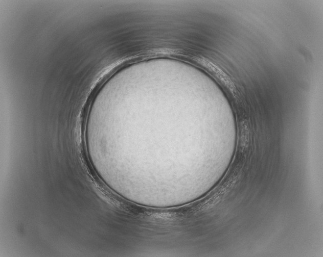 X0000115681031200912101129