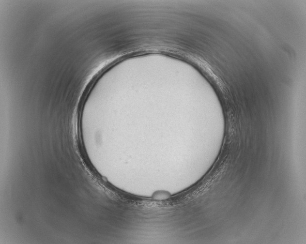 X0000115681032200912101129