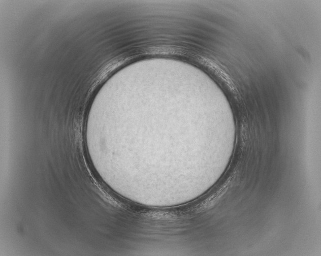 X0000115681033200912101129