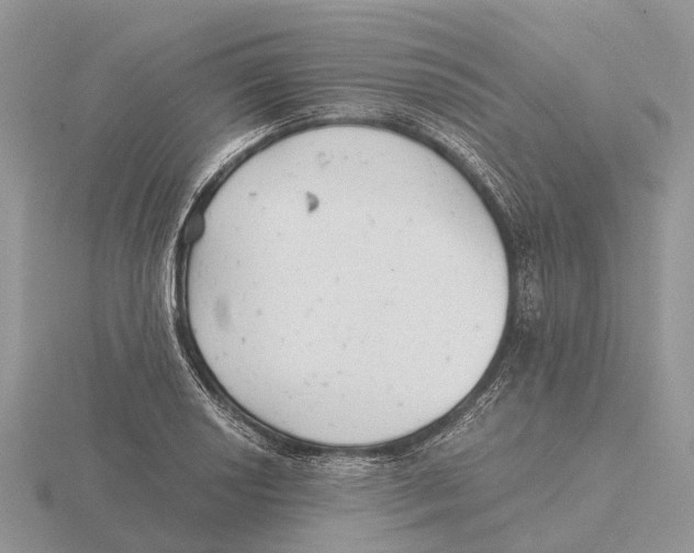 X0000115681034200912101129