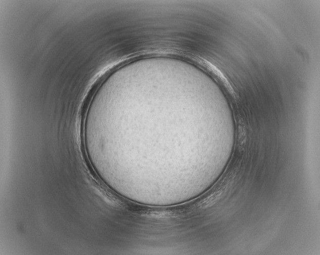 X0000115681035200912101129