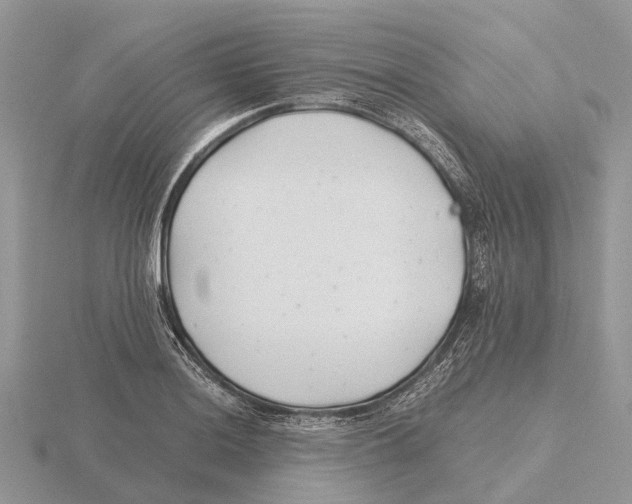 X0000115681036200912101129