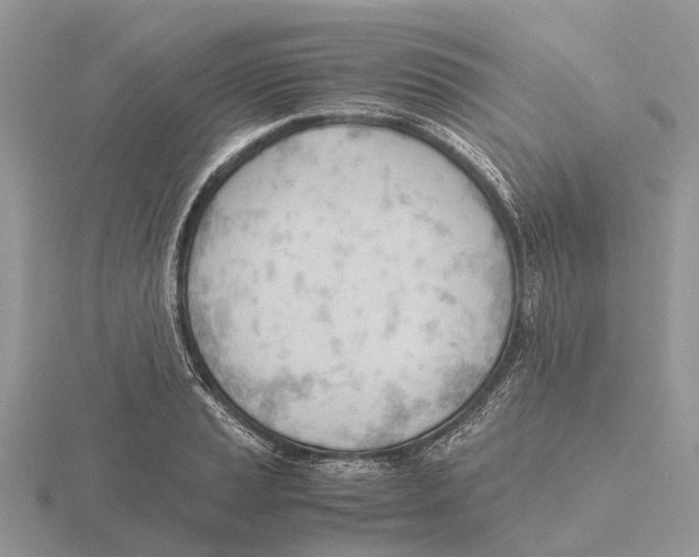 X0000115681037200912101129