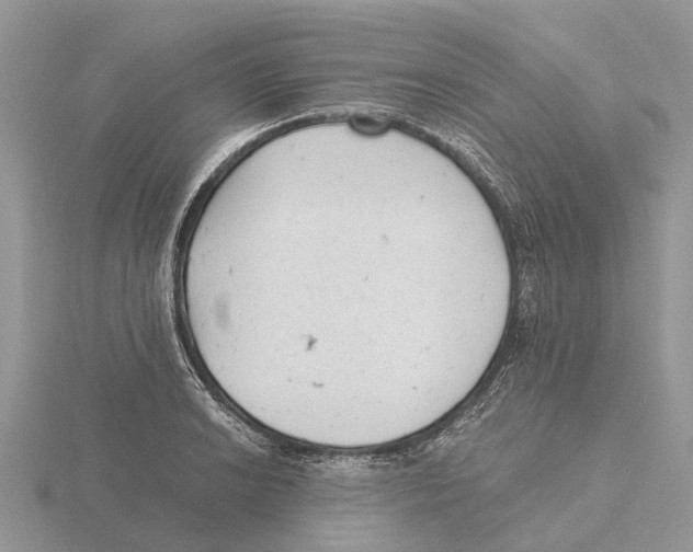 X0000115681038200912101129