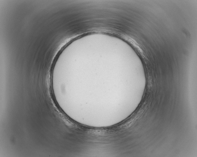 X0000115681040200912101129